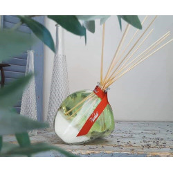 Raumduft-Diffusor Eisenkraut, 400 ml.