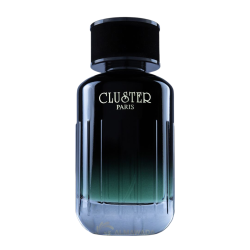 CLUSTER PARIS - EDP - 100ml. l Pranсūziški kvepalai vyrams