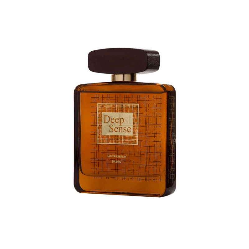 DEEP SENSE - EDP - 100ml. | Prancūziški kvepalai vyrams